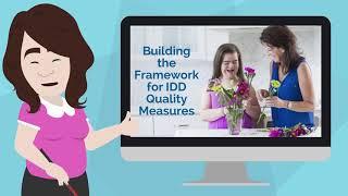 Building the Framework for IDD Quality Measures