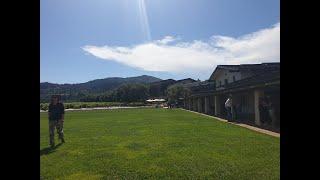 Robert mondavi winary tour/napavelly/San Francisco/trip/로버트 몬다비 와이너리 투어