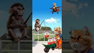 BABY MONKEY STEALS CUTE CAT KINDERJOY ⁉️ #cutecats #feedshorts #catlover #catvideos #shorts