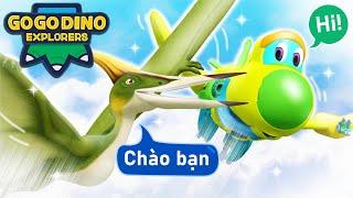 Ping! Tôi là Pteranodon nhanh nhất!!【GOGODINO KHÁM PHÁ】| Tuyển tập | Khủng long