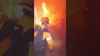LAFD Knocks Down a Small Brush Fire