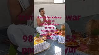 # Pandit For Kalsarp Pooja In Trimbakeshwar Temple Nashik Maharashtra Pandit Mayur Thete 9860286489