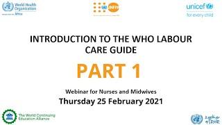 INTRODUCTION TO THE WHO LABOUR CARE GUIDE part 1