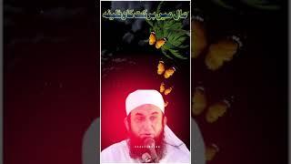 Rizq me barkat ka wazifa || سچی باتیں || suchi bateen|| tariq jameel