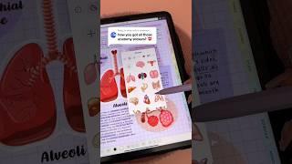 iPad note taking  iPadOS 17 stickers | aesthetic digital notes | goodnotes study notes