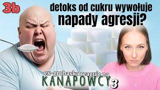 Czy do wybuchu złości doprowadził DETOKS OD CUKRU? | Kanapowcy 3 odc. 3b