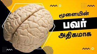 Best Brain Healthy Foods to Boost Your Memory and Focus Study | Exam Preparation Tips | 24 Tamil