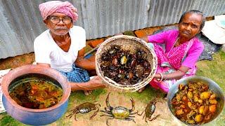 Country CRAB Catching and Cooking in Claypot | Mud Crab Catching and Cooking in Agricultural land |