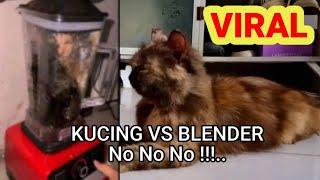 kucing di blender | vidio kucing di blender viral | kucing di belender video asli |  ANAK KUCING