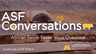 ASFConversations - African Swine Fever Virus Overview