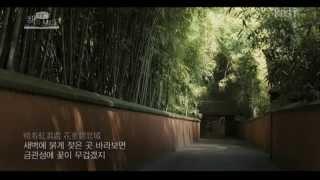 TV 책을 보다 공준호 시 샘플