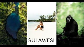 SULAWESI: TRAVELGUIDE - ALLES WAS DU WISSEN MUSST: Anreise, Reiseroute, Geheimtipps I TRAVELVLOG