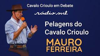 PELAGENS DO CAVALO CRIOULO - CAVALO CRIOULO EM DEBATE #94 - 31/01/23