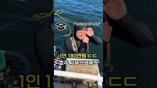 1인 180만원 태즈매니아 씨푸드크루즈 투어