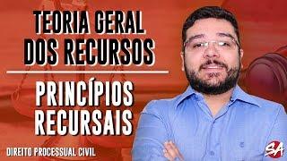 PRINCÍPIOS RECURSAIS | TEORIA GERAL DOS RECURSOS - AULA 03