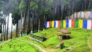 visit to lamahatta, Darjeeling.