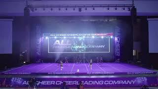 104. WHITE BULLS CHEERS N1 MINI | INTERNATIONAL ALL CHEER 2023