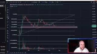 Anita Max WYNN Solana Coin MEME Price Prediction and Technical Analysis Today 2024