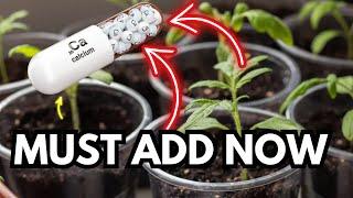 The Importance of Calcium for Plants | Why Calcium is Crucial During the Seedling Stage 