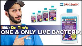 Dr. Tim's One & Only and Fishless Cycle Bundle: Cycle your aquarium quicker by giving it a boost.