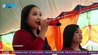 Lintang Asmoro - OT Sony Music Pernikahan Roni & Nevi di Windusari, Belitang Jaya. OKUT.