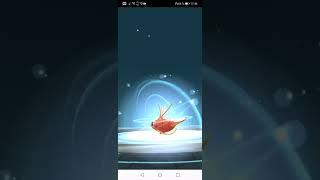 Мэджикарп в Гиарадос!!! Pokemon GO!!!