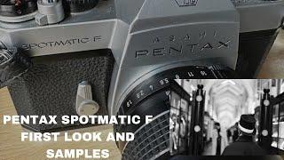 Snaffling a mint Pentax Spotmatic F