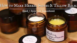 The Homestead Apothecary | How to Make Herbal Salves and Tallow Balm