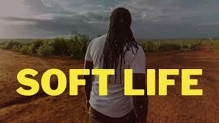 (FREE) Afrobeat instrumental 2024 - SOFT LIFE