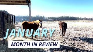 January in Review - 4.5 hours of rescuing horses!