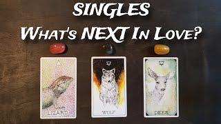 SINGLES | What's NEXT In Love? What Can You Expect Next In Your Love Life?  Pick A Card Reading