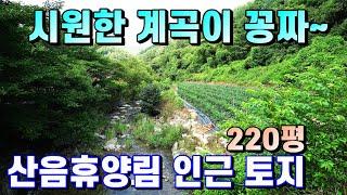 양평토지매매[매물번호 416번] 산음휴양림 인근 맑은 계곡이 흐르고 도로지분 없는 알땅 220평