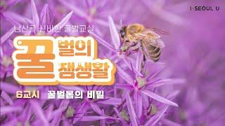 [꿀벌의 꿀잼교실] 6교시 : 꿀벌 몸의 비밀ㅣ서울의 공원