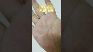 노력을 통해 부자가 된다는 M자 손금