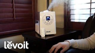 Levoit | Hybrid Ultrasonic Humidifier (LV600HH)