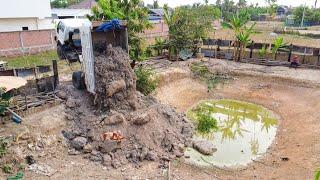 INCREDIBIE New Project Dump Truck unloading fly up to the sky delete the pond by skill dozer Trucks