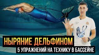 Техника ныряния ДЕЛЬФИН / упражнения для фридайверов