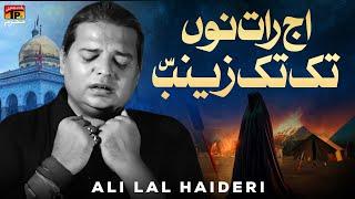 Aj Raat Nu Tak Tak Zainab | Ali Lal Haideri | Nohay | Moharram | 2024 | TP Muharram