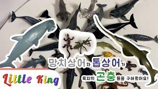 망치상어와 톱상어가 육지의 곤충들을 구해줬어요! ㅣseaanimal and insect ㅣ Hammer shark and Saw Shark saved Insects!ㅣ 리틀킹