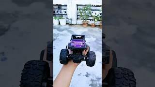 First Purple Thar in India | RC Thar #purplethar #rcthar #monsterthar #monstercars #monstertruck