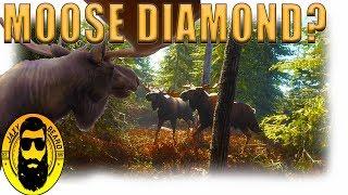 Diamond Moose? theHunter Call of the Wild Best Hunt of July