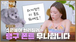 [공지] 태연 손글씨 폰트 무료 나눔의 건 | TAEYEON 태연 탱나무숲 EP.07 폰트