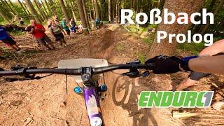 Enduro One Roßbach 2024 | Gluthitze zum Prolog | Tobias Heuschkel