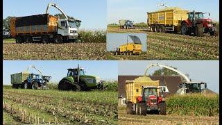 Loonbedrijf Reimink hakselt mais met Claas, Dewa, Terberg, NH, MF en Claas Challenger!