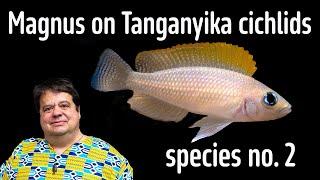 Tanganyika 2