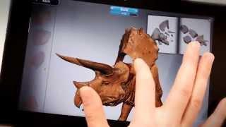 Triceratops in Monzo_Madfinger Games