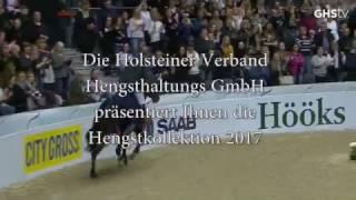 Herzlich Willkommen auf dem Youtube-Kanal der Holsteiner Verband Hengsthaltungs GmbH, Elmshorn