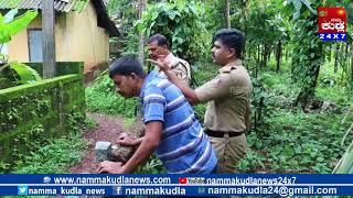 Namma Kudla news 24x7:Tiger found near Kinnigoli