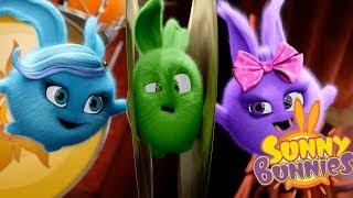 Cartoons for Children | Sunny Bunnies - MUSIC MADNESS | SUNNY BUNNIES | Funny Cartoons For Children