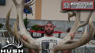 500 INCHES OF ELK ANTLER | SHED AND TELL 2022 |